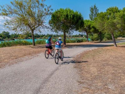 Cliquez pour découvrir toutes les photos de l'ÉTABLISSEMENT ! camping La Pinède En Provence photo 12