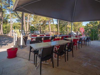 Cliquez pour découvrir toutes les photos de l'ÉTABLISSEMENT ! camping La Pinède En Provence photo 15