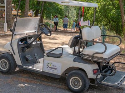 Cliquez pour découvrir toutes les photos de l'ÉTABLISSEMENT ! camping La Pinède En Provence photo 24