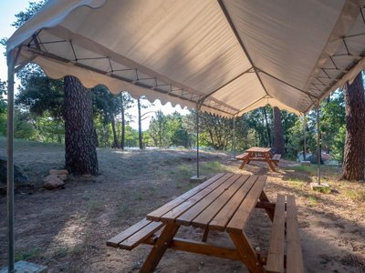 Cliquez pour découvrir toutes les photos de l'ÉTABLISSEMENT ! camping La Pinède En Provence photo 26