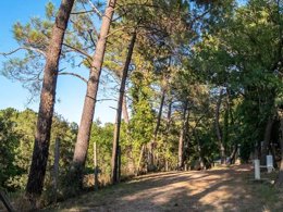 Camping Pas Cher vous présente avec son site Officiel campingpascher.fr, le Camping La Pinède En Provence classé 3 étoiles, situé sur la commune de Mondragon dans le département Vaucluse (Provence Alpes Côte D'azur) en France. Le camping La Pinède En Provence vous propose un hébergement de type tente en toile et bois. L'établissement vous propose 5 autres types d'hébergements. Découvrez tous nos séjours à petits prix dans la commune et aux alentours de Mondragon du département : Vaucluse (Provence Alpes Côte D'azur). Les Avis clients pour le Camping La Pinède En Provence sont excellents avec une note moyenne de 8 sur 10. Piscine extérieure, Animations familiales, Aire de jeux enfants, Baby-foot, Canoë-kayak, Court de tennis, Parcours sportif, Ping-pong, Piscine, Pétanque, Randonnée, Structure gonflable enfants, Terrain multisports, Dépôt de pain, Snack/Bar, Épicerie,... En savoir plus : cliquez-ICI.