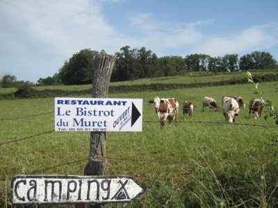 Cliquez pour découvrir toutes les photos de l'ÉTABLISSEMENT ! camping Le Muret photo 11