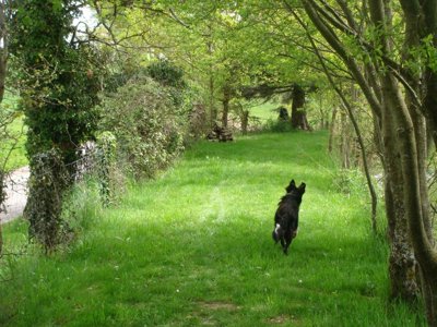 Cliquez pour découvrir toutes les photos de l'ÉTABLISSEMENT ! camping Le Muret photo 18
