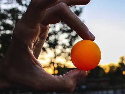 Cliquez pour découvrir toutes les photos de l'ÉTABLISSEMENT ! camping Le Muret photo 2