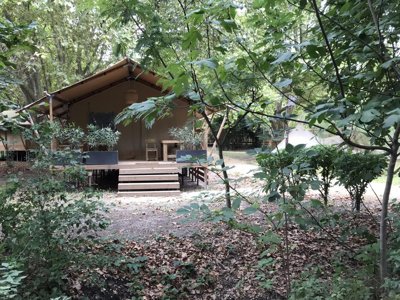 lodge - Suze Luxe Nature photo 1
