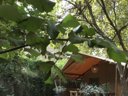 lodge - camping Suze Luxe Nature photo 2