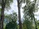 Cliquez pour découvrir toutes les photos de l'HÉBERGEMENT ! lodge - camping Suze Luxe Nature photo 2