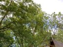 Cliquez pour découvrir toutes les photos de l'HÉBERGEMENT ! chalet - camping Suze Luxe Nature photo 2