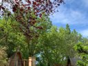 Cliquez pour découvrir toutes les photos de l'HÉBERGEMENT ! chalet - camping Suze Luxe Nature photo 2