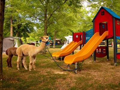 Cliquez pour découvrir toutes les photos de l'ÉTABLISSEMENT ! camping Des Drouilhèdes photo 12