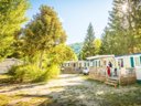 mobil-home - camping Flower Le Pont Du Tarn photo 2
