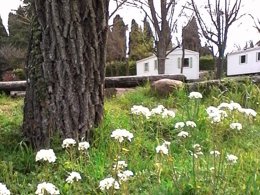 Camping Pas Cher vous présente avec son site Officiel campingpascher.fr, le Camping La Résidence D'été classé 3 étoiles, situé sur la commune de Saint Remeze dans le département Ardèche (Rhône Alpes) en France. Le camping La Résidence D'été, vous présente un hébergement de type mobil-home de 24 m². Le camping La Résidence D'été vous propose du lundi 25 mai au lundi 01 juin 2026, en promotion à -28% pour 7 nuits à 428,40 € au lieu de 595,0 € soit une Économie de 166,60 €. Cette location propose 143 dates différentes pour réserver votre séjour. Découvrez également les 9 autres gammes d'hébergements du camping. Les Avis clients pour le Camping La Résidence D'été sont de 7 sur 10. Piscine chauffée, Piscine extérieure, Animations familiales, Aire de jeux enfants, Canoë-kayak, Centre équestre, Cyclisme, Ping-pong, Pétanque, Randonnée, Terrain de football, Terrain multisports, Trampoline, Bar, Dépôt de pain, Pizzeria, Plats à emporter, Snack/Bar, Supermarché, Épicerie,... En savoir plus : cliquez-ICI.