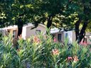 Cliquez pour découvrir toutes les photos de l'HÉBERGEMENT ! mobil-home - camping Sunêlia Mazet Plage Ardèche photo 3