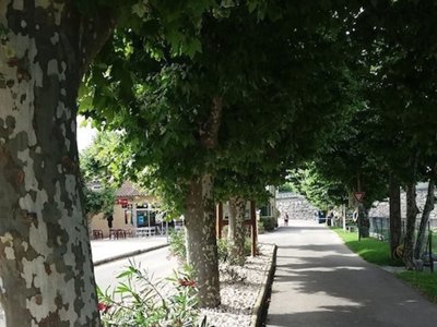 camping De L'Ardèche photo 16