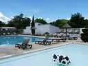 Cliquez pour découvrir toutes les photos de l'ÉTABLISSEMENT ! camping Bel Air photo 4