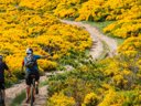 Cliquez pour découvrir toutes les photos de l'ÉTABLISSEMENT ! camping Bel Air photo 9