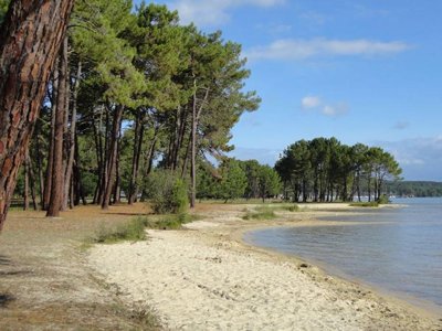 Cliquez pour découvrir toutes les photos de l'ÉTABLISSEMENT ! camping Les Petits Ecureuils photo 24