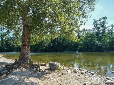 Cliquez pour découvrir toutes les photos de l'ÉTABLISSEMENT ! établissement La Nouzarede photo 24