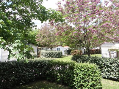 camping Les Hortensias photo 18