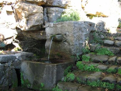 camping Les Hortensias photo 29