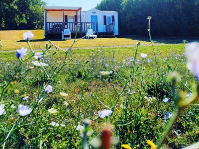 camping Le Valenty photo 4