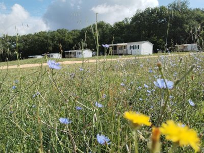 camping Le Valenty photo 9