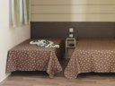 mobil-home - camping Le Valenty photo 4
