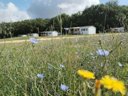 camping Le Valenty photo 9
