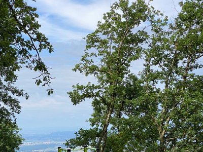 Cliquez pour découvrir toutes les photos de l'ÉTABLISSEMENT ! camping Barco Reale photo 29