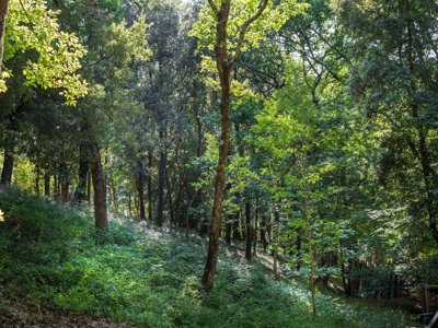 établissement Hu Montescudaio Village photo 14