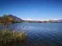 Camping Pas Cher vous présente avec son site Officiel campingpascher.fr, le Camping La Motte Flottante classé 2 étoiles, situé sur la commune de La Freissinouse dans le département Hautes-alpes (Provence Alpes Côte D'azur) en France. Le camping La Motte Flottante vous propose un hébergement de type chalet de 35 m². L'établissement vous propose 4 autres types d'hébergements. Découvrez tous nos séjours à petits prix dans la commune et aux alentours de La Freissinouse du département : Hautes-alpes (Provence Alpes Côte D'azur). Les Avis clients pour le Camping La Motte Flottante sont excellents avec une note moyenne de 8 sur 10. Lac, Centre équestre, Snack/Bar,... En savoir plus : cliquez-ICI.