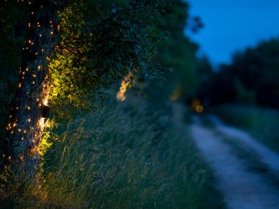 camping Aux Lodges Du Mas De Nadal photo 25