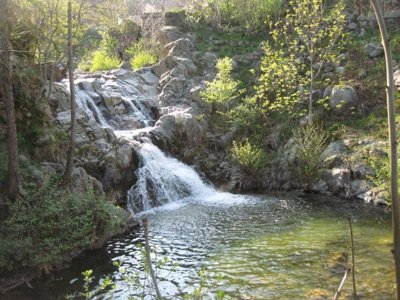 établissement La Drobie photo 14