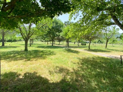 camping Le Bardou photo 8