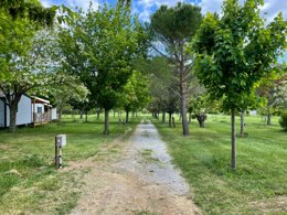 Camping Pas Cher vous présente avec son site Officiel campingpascher.fr, le Camping Le Bardou classé 3 étoiles, situé sur la commune de Saint Germain dans le département Ardèche (Rhône Alpes) en France. Le camping Le Bardou vous propose un hébergement de type mobil-home de 27 m² pour 4 personnes. L'établissement vous propose 7 autres types d'hébergements. Découvrez tous nos séjours à petits prix dans la commune et aux alentours de Saint Germain du département : Ardèche (Rhône Alpes). Piscine extérieure, Baby-foot, Canoë-kayak, Cyclisme, Piscine, Pétanque, Randonnée, Trampoline, Dépôt de pain, Épicerie,... En savoir plus : cliquez-ICI.