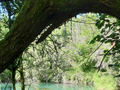 Cliquez pour découvrir toutes les photos de l'ÉTABLISSEMENT ! établissement Le Célé photo 17