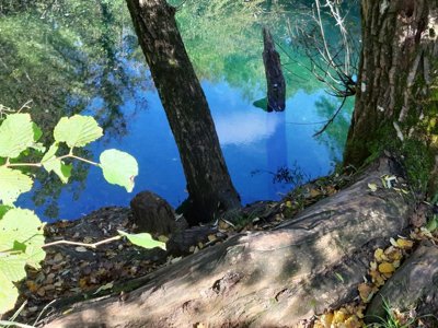 Cliquez pour découvrir toutes les photos de l'ÉTABLISSEMENT ! établissement Le Célé photo 18