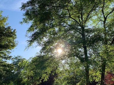 Cliquez pour découvrir toutes les photos de l'ÉTABLISSEMENT ! établissement Le Célé photo 27