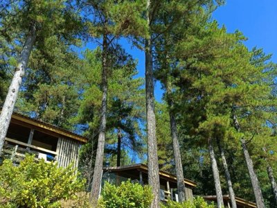 camping Ushuaïa Villages Les Pins D'Ucel photo 4