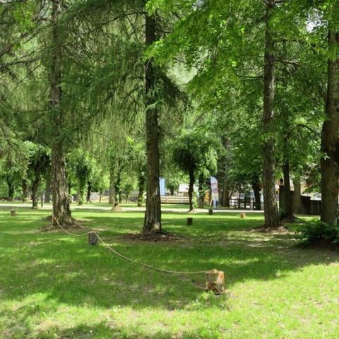 Cliquez pour découvrir toutes les photos de l'ÉTABLISSEMENT ! établissement Les Mélèzes photo 2