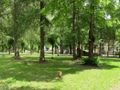Cliquez pour découvrir toutes les photos de l'ÉTABLISSEMENT ! établissement Les Mélèzes photo 2