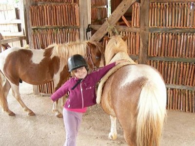 camping Le Moulin Des Donnes photo 3