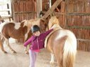 camping Le Moulin Des Donnes photo 3