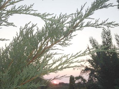 Cliquez pour découvrir toutes les photos de l'ÉTABLISSEMENT ! camping Le Daguet photo 29