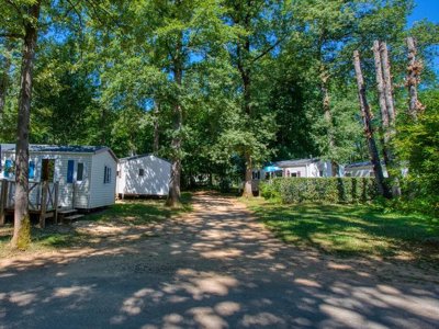 Cliquez pour découvrir toutes les photos de l'ÉTABLISSEMENT ! camping Flower Les Nauves photo 16