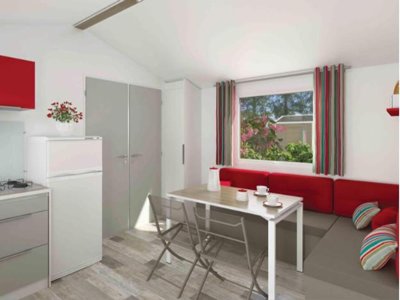 mobil-home - Flower La Canadienne photo 2