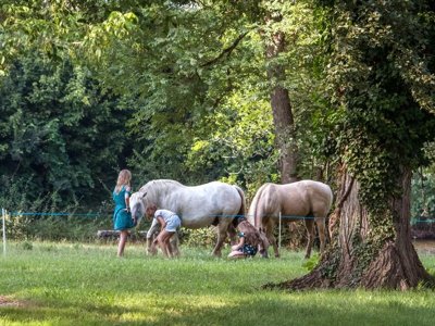 Cliquez pour découvrir toutes les photos de l'ÉTABLISSEMENT ! camping Les Rives De La Dordogne photo 17