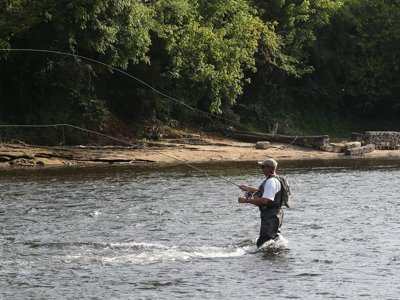 Cliquez pour découvrir toutes les photos de l'ÉTABLISSEMENT ! camping Les Rives De La Dordogne photo 20