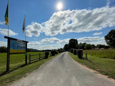 camping Le Bosquet photo 7