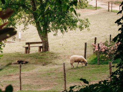 camping Slow Village Séveilles photo 24